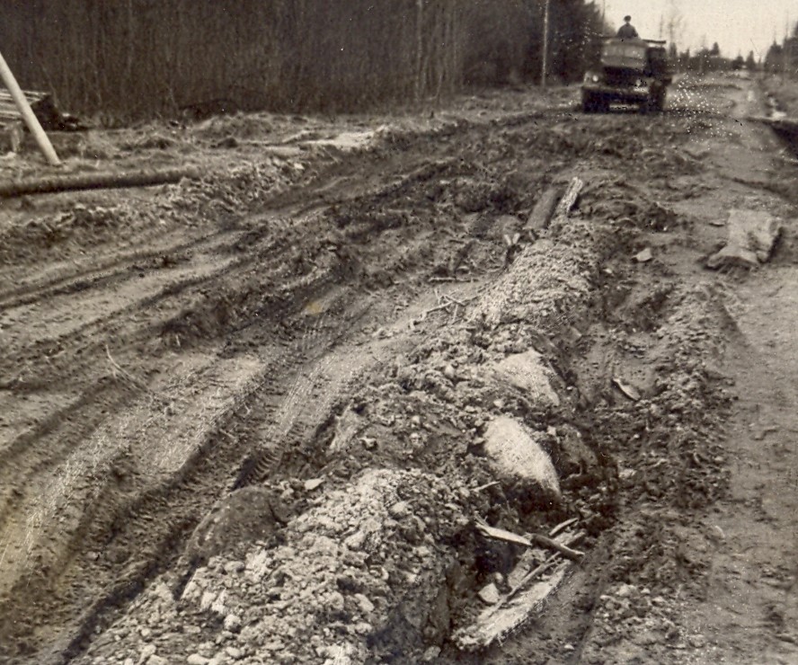 Külmakerked teel. 1950. aastad. 