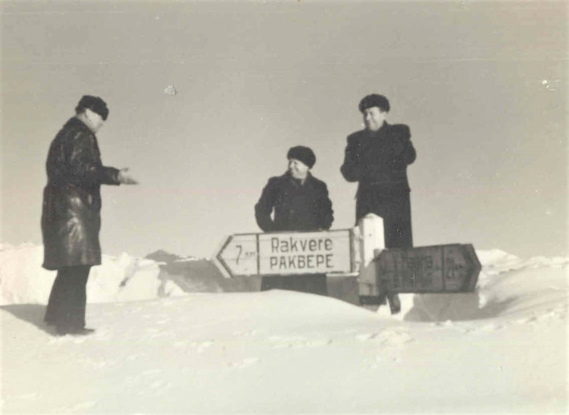 Lummemattunud Vilgu teerist Rakvere–Võtikvere maanteel 1950. aastatel. Selle kümnendi lumerikastel talvedel seiskus liiklus mõneks ajaks nii mitmelgi maanteel. Et lumetuisk võib muutuda lausa loodusõnnetuseks, ilmnes näiteks 1975. aasta novembris Kohtla-Järve rajoonis, kus paarsada autot olid kahemeetrise lume all vangis kaks päeva. Sama juhtus kolm kümnendit hiljem ka Virumaal Padaorus. (Foto: Eesti Maanteemuuseum)