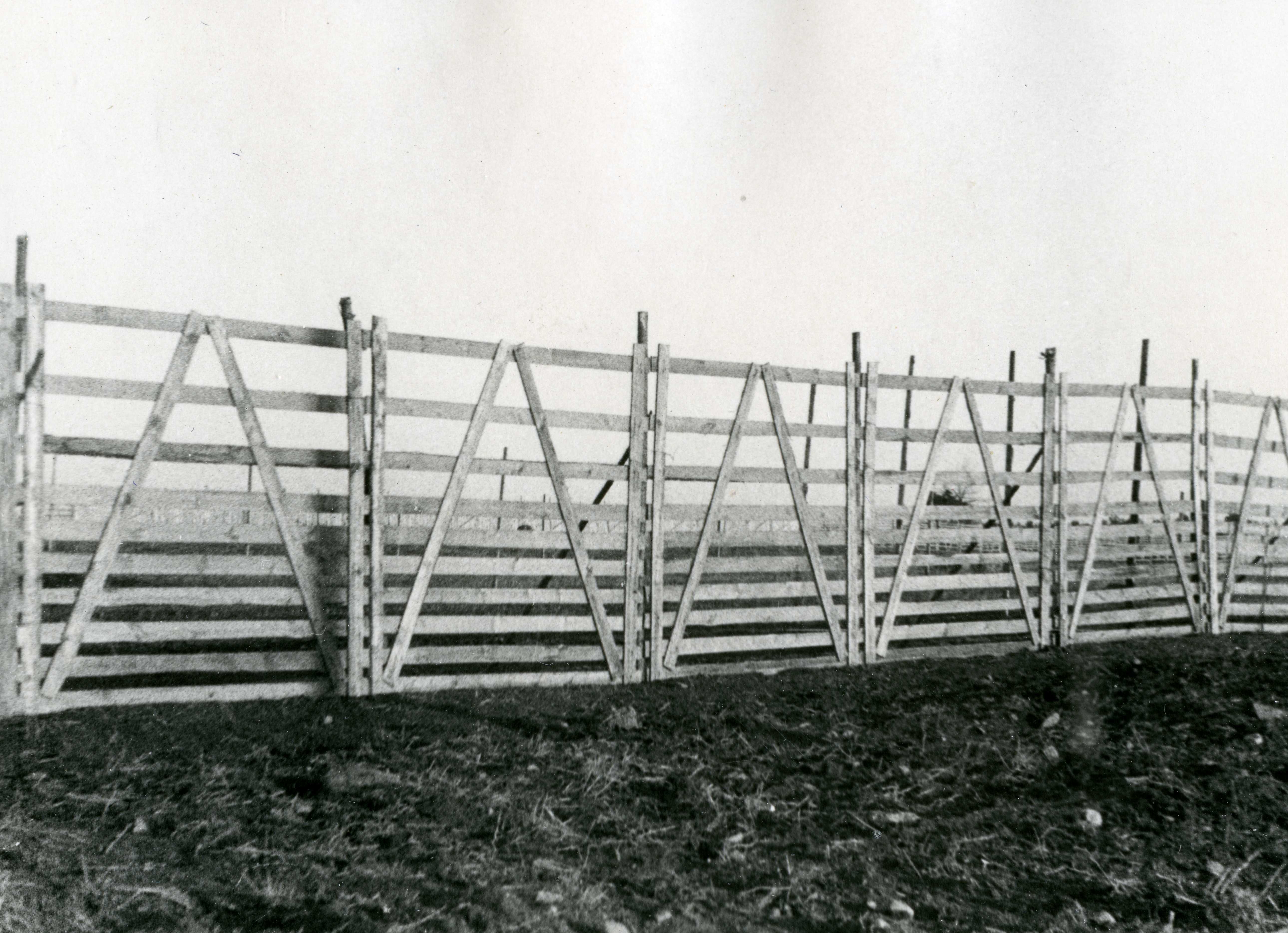 1950. aastatel olid lumeväravad peamiseks nn passiivseks lumetõrjevahendiks, mida siiski ei jagunud piisavalt mitmete oluliste maanteelõikude lahtihoidmiseks lumerikastel talvedel. Lumeväravaid kasutati palju kuni 1960. aastate lõpuni, mil sahkade arvu kasv ja täiustumine järk-järgult nende kasutamise lõpetas. Kuni 1960. aastateni istutati lumetõrje eesmärgil ka lumekaitsehekke peateede äärde, kuid 1970. aastatest alates hakati neid likvideerima juba liiklusohutuse kaalutlustel. (Foto: Eesti Maanteemuuseum)