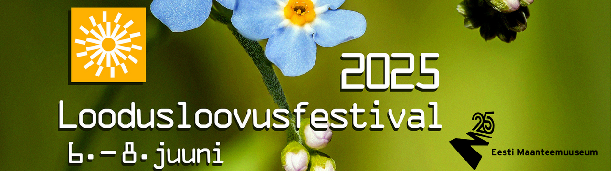 festival
