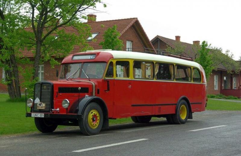 Saurer