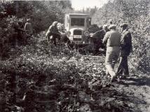 Teemeistrite ekskursioon Virumaal Sonda lähistel 1934. Kergeveoautole raiutakse rataste ette hagu, et vältida masina soisesse pinnasesse takerdumist. 
